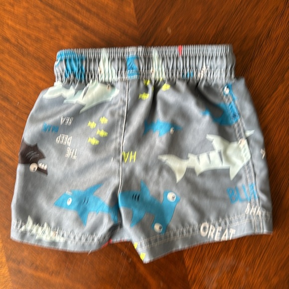 Carter’s 12M Swim Trunks. - Picture 2 of 3
